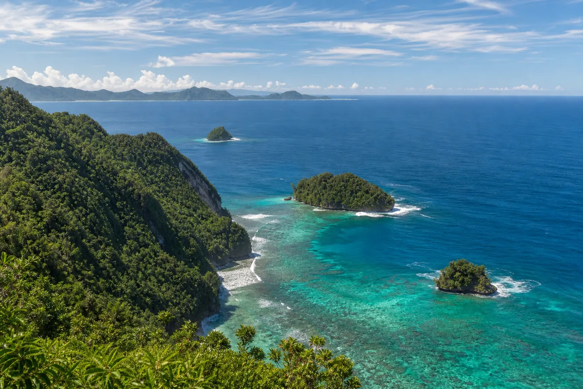 Littoral tropical et jungle dense vus depuis une hauteur sur l’île de Bornéo