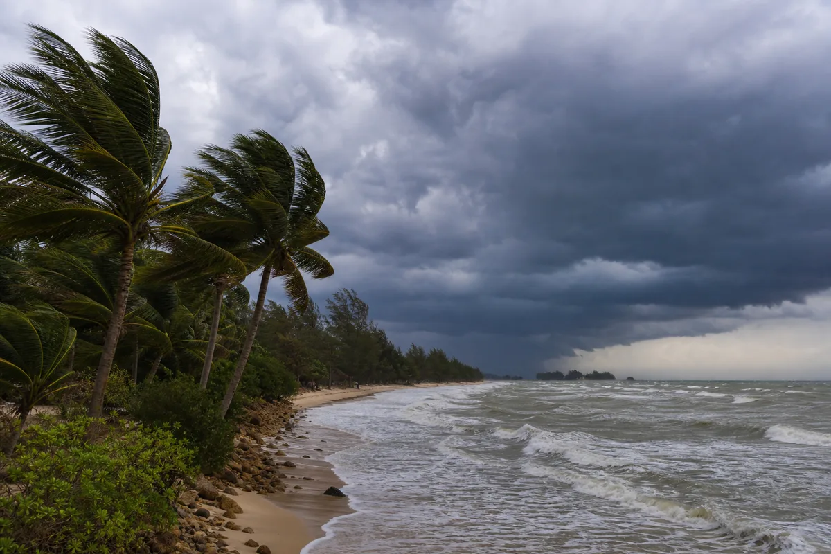 Plage tropicale sous un ciel chargé avec palmiers courbés par le vent